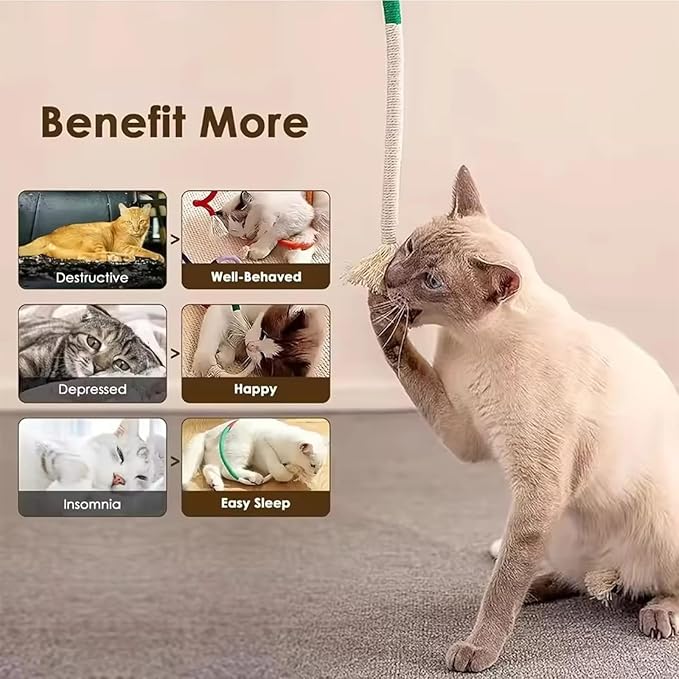 Celery Pets Cat Chew Rope,Catnip-Infused Organic Cotton Chew Rope Toys for Cats, Soft & Safe Dental Chew Toys for Indoor Cats, Self-Play and Teeth Cleaning (6PCS)