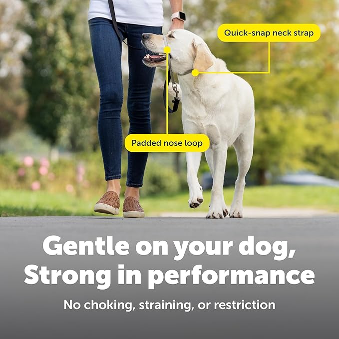PetSafe Gentle Leader Headcollar No-Pull Dog Collar - Helps Improve Walks - Durable Nylon Construction - Padded Nose Loop - Adjustable Fit - Comfort Walking Halter - Medium, Deep Purple