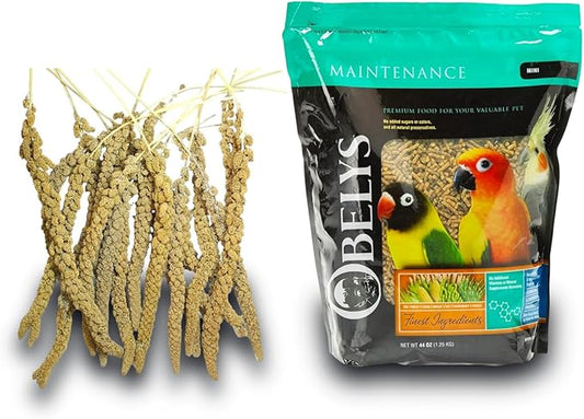 Bird Feed & Treat Bundle – 44 oz Maintenance, Mini Bird Food & 2 lb Nutritious Spray Millet for Pet Birds' Health, Vitality, and Balanced Diet