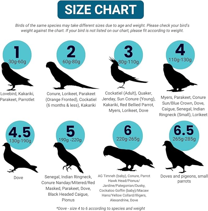 Bev's Bird Boutique Regular Flyper Adjustable Bird Diaper | Reusable, Washable Cloth | Comfort Fit for Parrot, Cockatiels, & Other Small Birds | Fashionable Avian Accessories, Retro Tux, Size 7.5