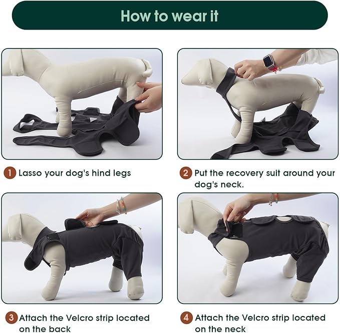 Kuoser Dog Surgery Recovery Suit, Thigh Wound Protective Sleeve for Dogs, Dog Recovery Sleeve for Female Male Dogs, Pet Surgical Suit for Spay Neuter, Dog Onesie After Surgery, Gray L