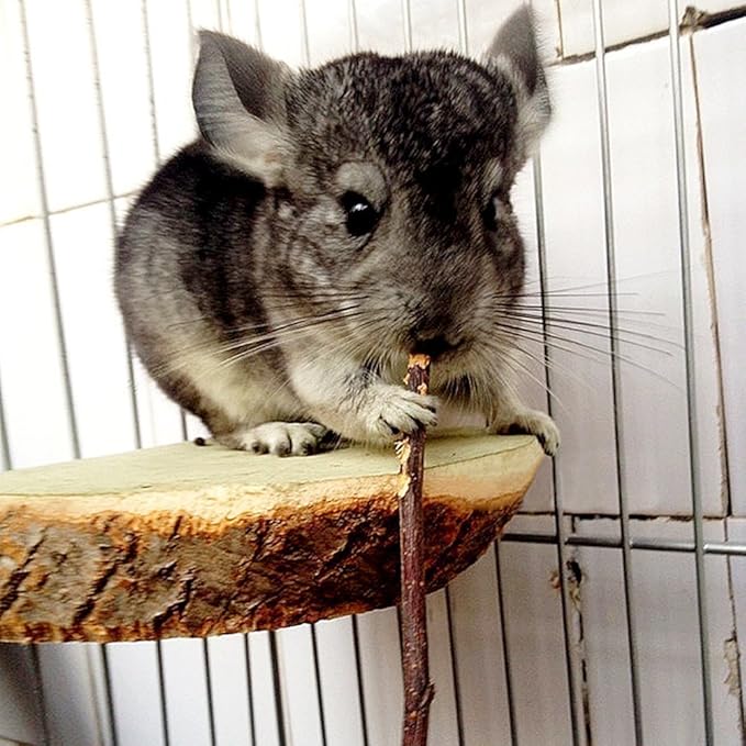 sharllen 400g (14.10oz) Natural Apple Sticks Wood Tree Branches Pet Snacks Chew Toys for Rabbit Hamsters Guinea Pig Chinchillas Squirrel and Other Small Animals by