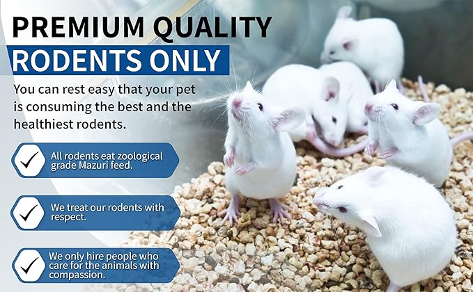 MiceDirect EST. 2003 40 Frozen Rat Combo Pack 20 Rat Smalls and 20 Rat Medium Feeders Snake Food for Juvenile Ball Pythons and Monitors (4.5-8 in)(2600 Grams Min)