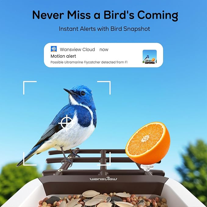 wansview Bird Feeder with Camera-Smart Bird Feeders for Outdoors Solar Powered, Birdhouse with Cam & Instant Alert, 2K Live Video, AI Identify Species, Ideal Gift for Tech Lovers, F1, Brown, 2.4G WiFi