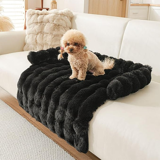 Dream Cloud Pet Sofa Bed Machine Washable Waterproof Supportive Comfort Non-Slip Plush Pet Couch Bed with Raised Edge for Sofa Car Floor, Small Medium Dogs Cats, Furniture Protector (Black)