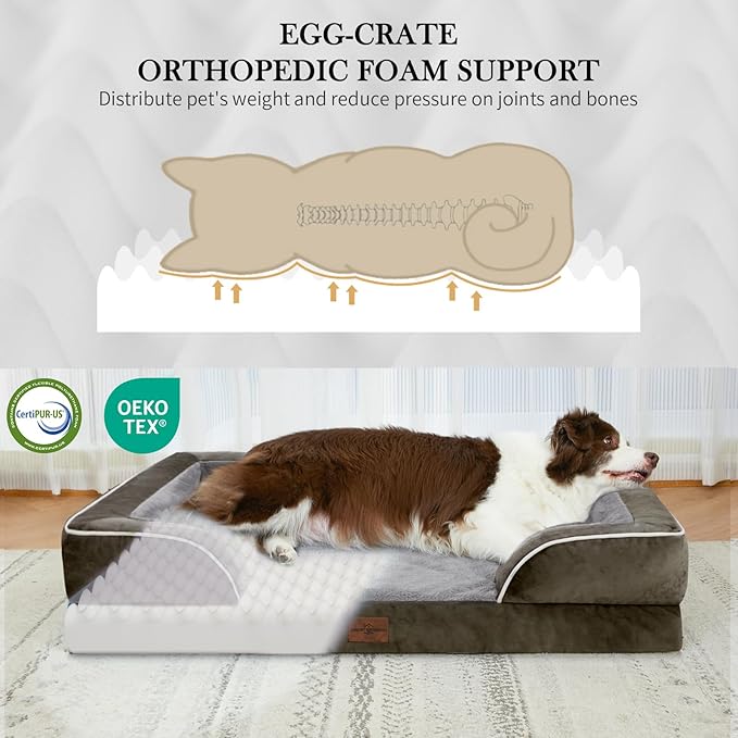 Comfort Expression Orthopedic Dog Bed for Large Dogs 38x25 Inch, Waterproof Supportive Egg Crate Foam Large Pet Bed with Removable Bolsters, Dog Couch with Washable Cover & Non-Slip Bottom, Dark Green