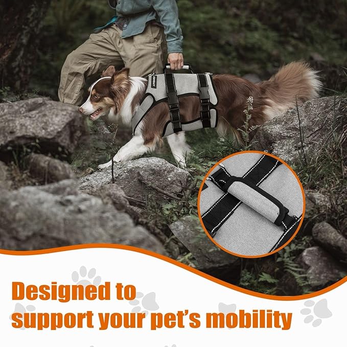 Ayquez Dog Lift Harness with Storage and Transport Bag, Dog Harness with Handle for Lifting & Hip dysplasia, arnés para Perros pequeños, pechera para Perros (Gray, L)