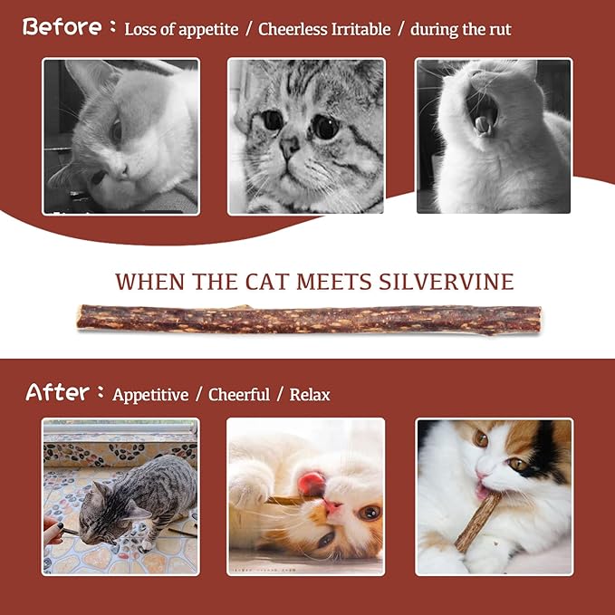 Silvervine Sticks for Cats, 30PCS Kitten Toys Catnip Toys Matatabi Silvervine Sticks Kitty Chew Toys Wooden Stick Kitten Teething Toys Molar Suitable for Cats of All Ages