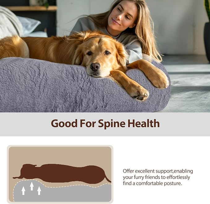 L&W BROS. Orthopedic Human Dog Bed for Large Dogs and Adults, Washable Extra Large Pet Couch with Removable Cover & Blanket, Supportive Memory Foam Lounger 71"x47" (Dark Gray)