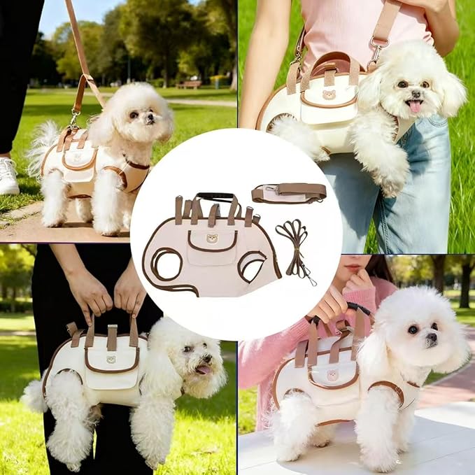 Portable Small Dog & Cat Pet Carrier Sling & Backpack for Small Dogs & Cats & Puppy, Dog & Pet Purse Bag Carrier Sling for Small Dogs with Dog Traction Leash, Crossbody Sling Carriers (Orange M)