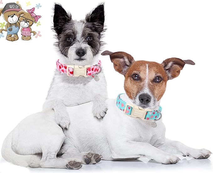 DOGWONG Valentine's Dog Collar - Blue Heart Adjustable Cotton Heart Dog Collar - Perfect for Small to Medium Dogs