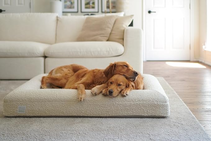 Luxury Boucle Orthopedic Memory Foam Dog Bed with Waterproof Liner and Machine Washable Cover with YKK Zippers (Large, 45" L x 36" W x 7" Th, Cloud)