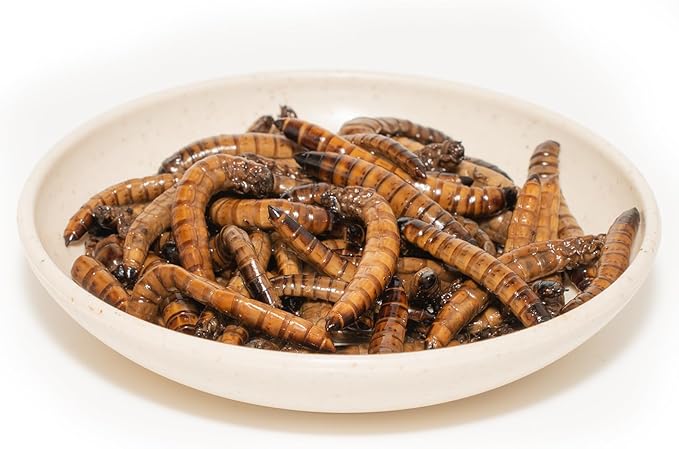 6 Pack Canned Superworms for Reptiles, Fish, Birds and Small Animals, Super Worms, Healthy High Protein Treat for Reptile Bird Fish Food 7.2 Ounces Total