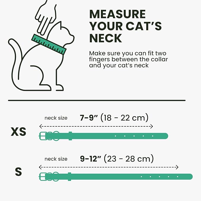 BRONZEDOG Leather Cat Collar with Removable Bells Non Breakaway Kitten QR Tag for Girl Boy (7" - 9" for Cats, Green & Gold)