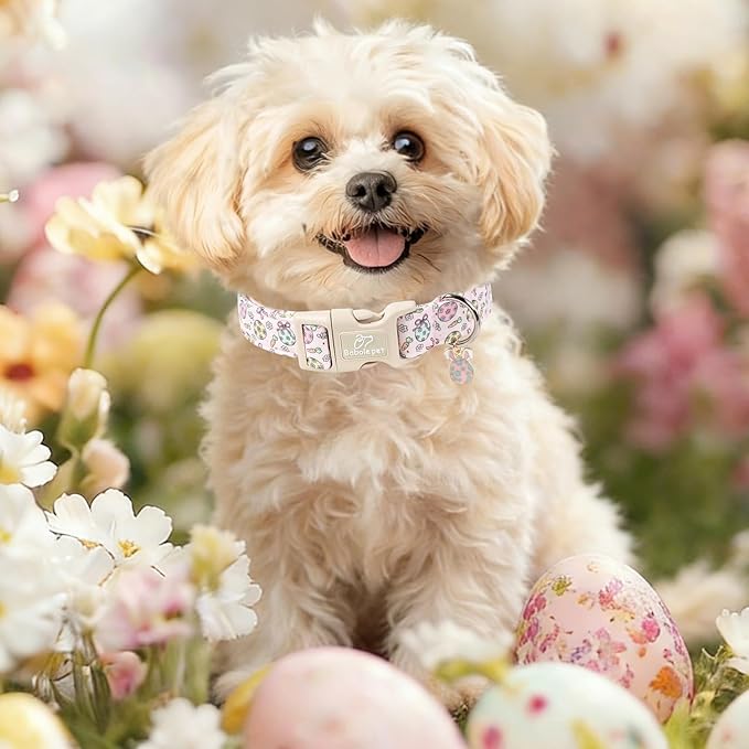 Easter Dog Collar for Puppy Small Dogs - Easter Egg Pastel Dog Collars, Cute Girl Dogs Collar, Lightweight Adjustable Spring Holiaday Dog Collars with Quick Release Buckle XS