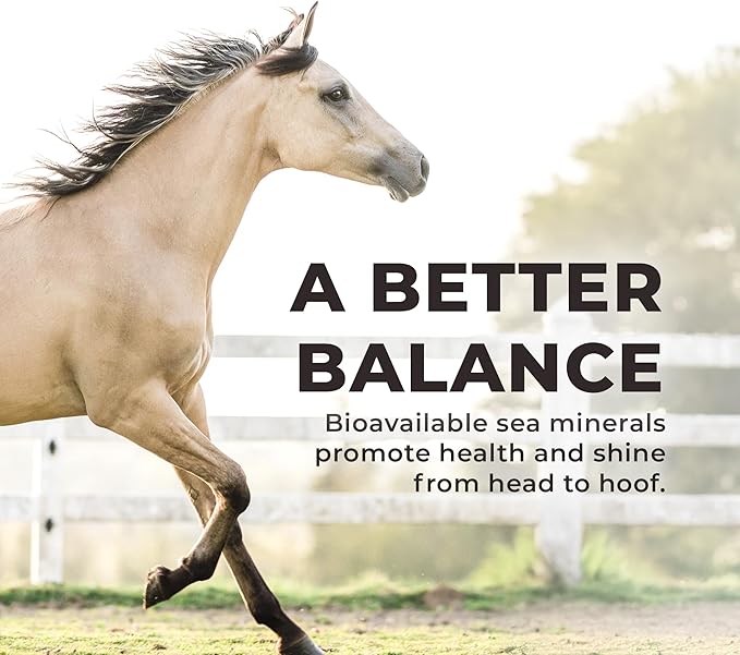 Daily Red Fortified w/Garlic - Horse Vitamin & Mineral Supplement 5 lb Pouch