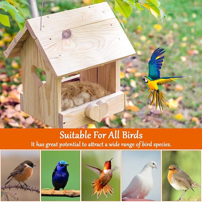 Sukh Bird Nesting Material - Bird Nests Bedding Hummingbird Nesting Material Mixing Canary Nesting Material Finch Nesting Material Parakeet Nesting Materials for Cage,Gardens,Tree Trunks (2)