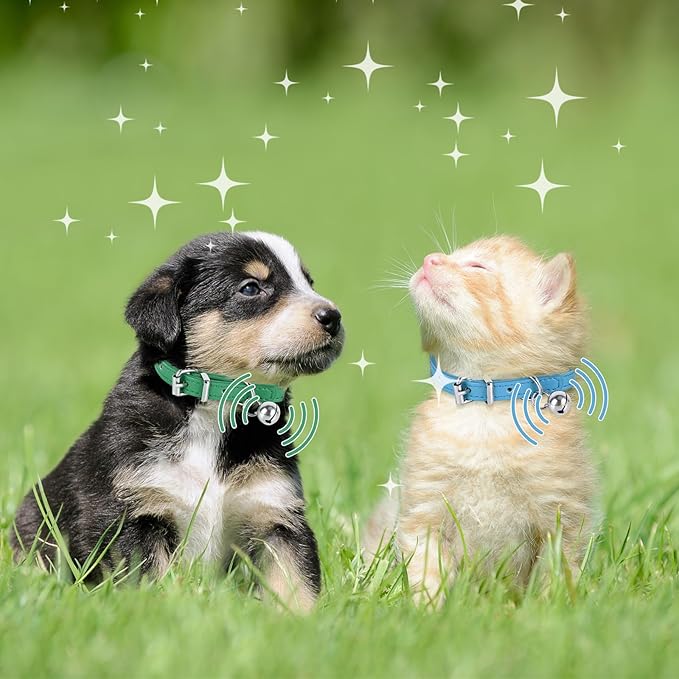 XXS Dog Collar for Teacup Adjustable Teacup Dog Collar for Small Medium Large Dogs 3/8 inch Width (Dark Blue, XXS)