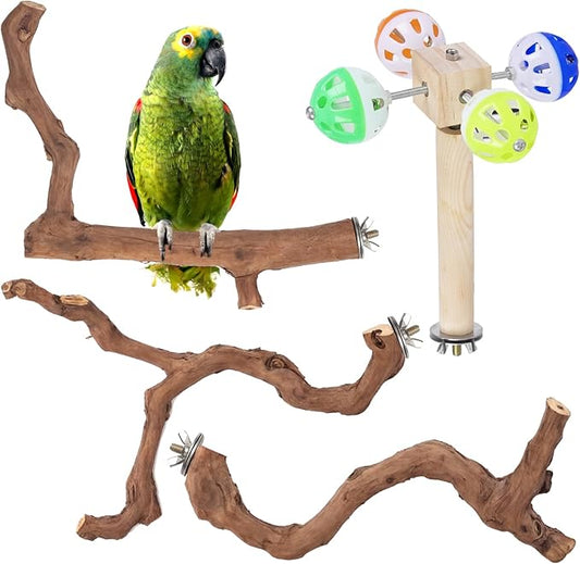 4-Piece Bird Perch Set with Rotating Ball Stand - Natural Wood Bird Gym & Playground for Parrots, Cockatiels, Budgies