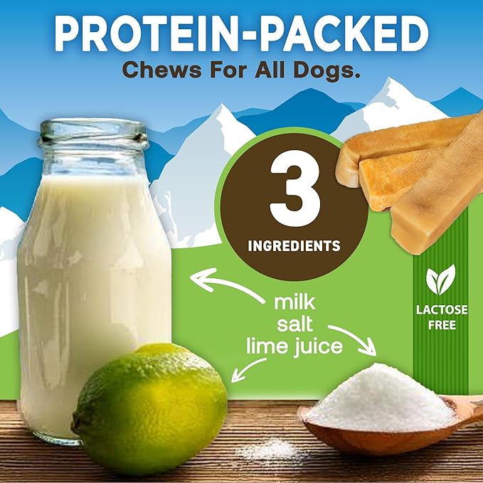 EcoKind Premium Gold Yak Cheese Himalayan Dog Chews, Dog Treats Large Breed, All Natural, High Protein, for Aggressive Chewers, Large - 5 Chews