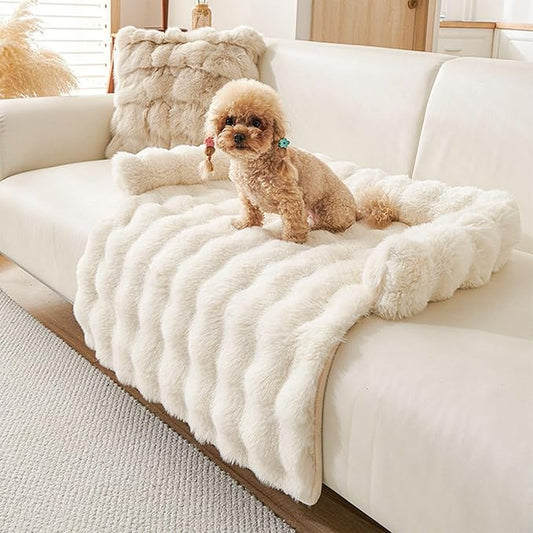 Dream Cloud Pet Sofa Bed Machine Washable Waterproof Supportive Comfort Non-Slip Plush Pet Couch Bed with Raised Edge for Sofa Car Floor, Small Medium Dogs Cats, Furniture Protector (White)