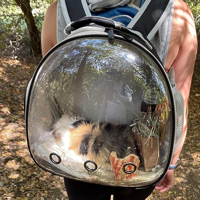 Reptile Travel Carrier for Bearded Dragon,Guinea Pig Carrier,Guinea Pig Carrier for 2,Reptile Travel Carrier for Lizards Sugar Glider Hedgehog Rat Parrot Birds (Green, Backpack)