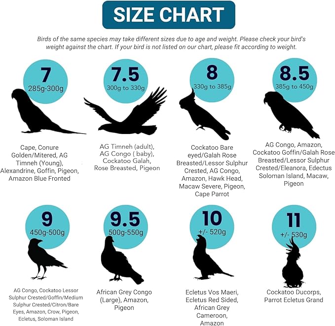 Bev's Bird Boutique Regular Flyper Adjustable Bird Diaper | Reusable, Washable Cloth | Comfort Fit for Parrot, Cockatiels, & Other Small Birds | Fashionable Avian Accessories, Retro Tux, Size 8