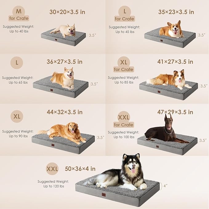 EHEYCIGA Orthopedic XXL Dog Beds for Jumbo Dogs with Removable Washable Cover,Light Grey, 50x36