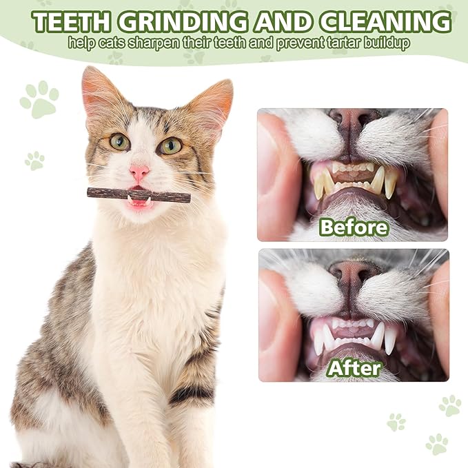 6 Pack Silvervine Sticks Cat Toy, Natural Chew Stick for Dental Care Teeth Cleaning,Matatabi Cat nip Treat Toys for Indoor Cats& Kittens