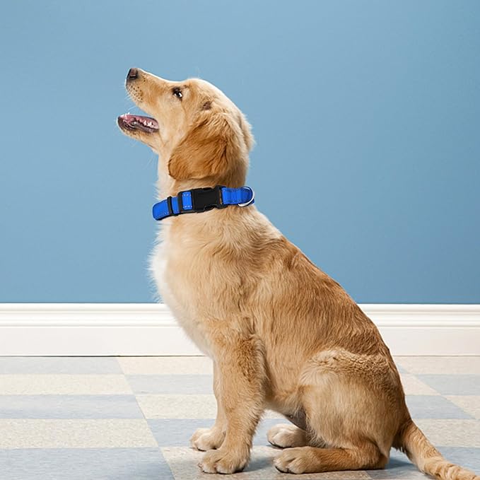 Reflective Dog Collar, Adjustable Soft Neoprene Padded Nylon Pet Collars with Buckle for Medium Dogs, Navy Blue,M
