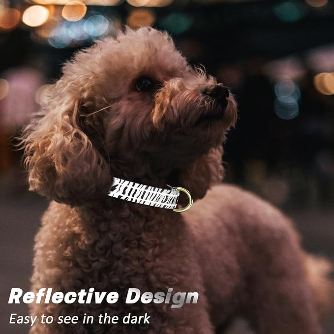Reflective Dog Collar for Small Dogs Cats, Cute Boho Adjustable Heavy-Duty Nylon Puppy Collar for Boy and Girl Female, Soft Pet Accessories with Quick Release Buckle, Stylish Zebra Print