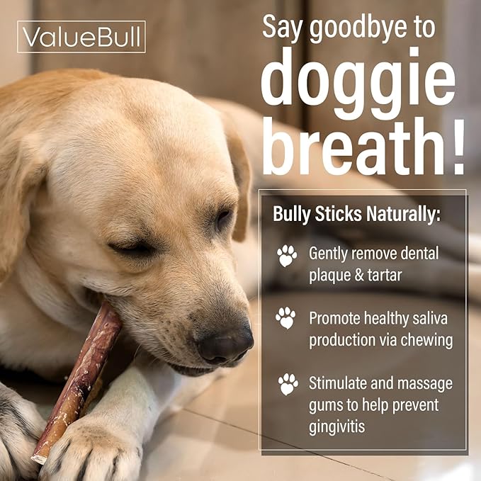 ValueBull Bully Sticks for Dogs, Jumbo 12 Inch, 50 Count - All Natural Dog Treats, 100% Beef Pizzles, Single Ingredient