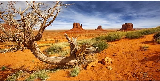 AWERT 72x18 inches Reptile Habitat Background Orange Desert Terrarium Background Durable Polyester Background