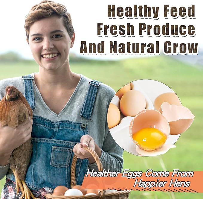 Dried Black Soldier Fly Larvae 44LBS, 85X More Calcium Than Mealworms High-Protein BSF Larvae Chicken Treats Non-GMO BSFL for Chickens, Hens, Ducks, Wild Birds