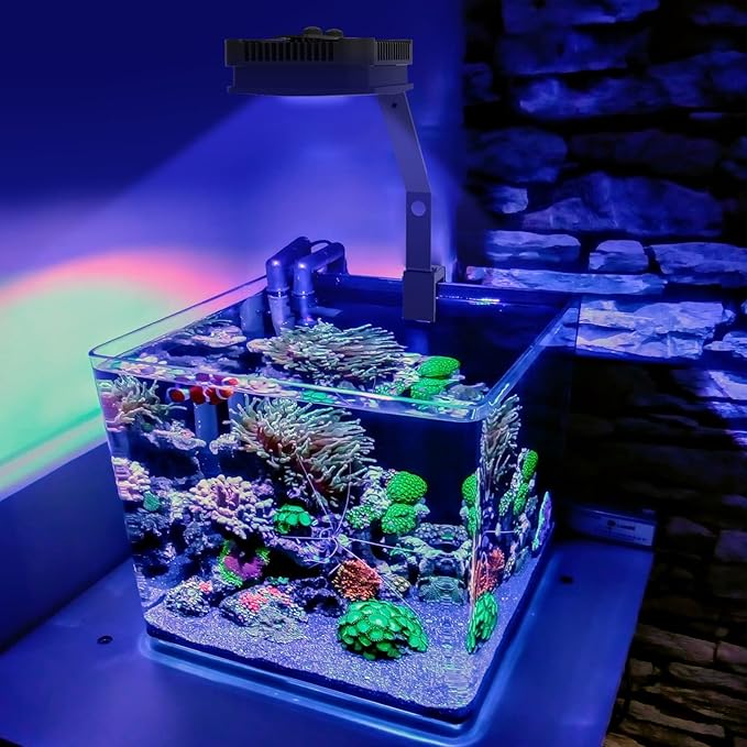 Lominie LED Aquarium Light Saltwater Aquarium Lamp 30W Full Spectrum with Remote Dimmable Nano Coral Reef Light for Fish Tank with Bracket