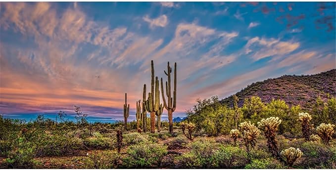 AWERT 36x18 inches Terrarium Background Blue Sky Cloud Huge Cactus Oasis Gobi Reptile Habitat Background Vinyl