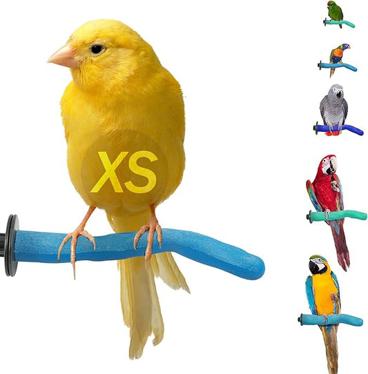 Sweet Feet & Beak Safety Pumice Bird Perch, X-Small 1/2" X 6", Blue - Lightweight Grinding Bird Perches for Cage - Bird Nail Trimming Perch for Healthy Beak & Feet - Multi-Size & Color Parrot Stand