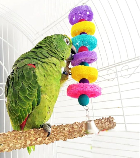 Hypeety Bird Toys Parrot Hanging Chew Toys Natural Colorful Loofah Shred and Preen Swing Bird Bell Cage Parrot Toys