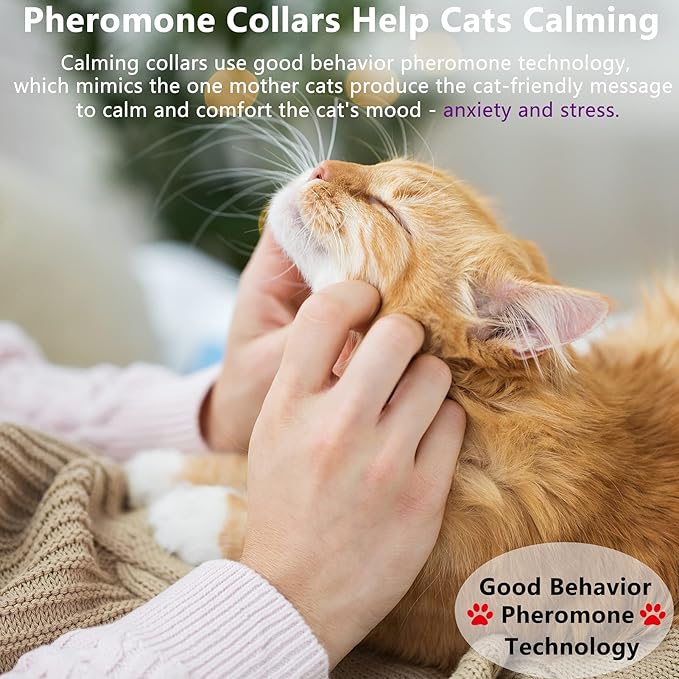Wustentre 3 Pack Adjustable Anxiety Collar - Cat Calming Pheromones for Cats & Kittens, Stress Reliever - Relaxing Comfortable Collar (Violet)