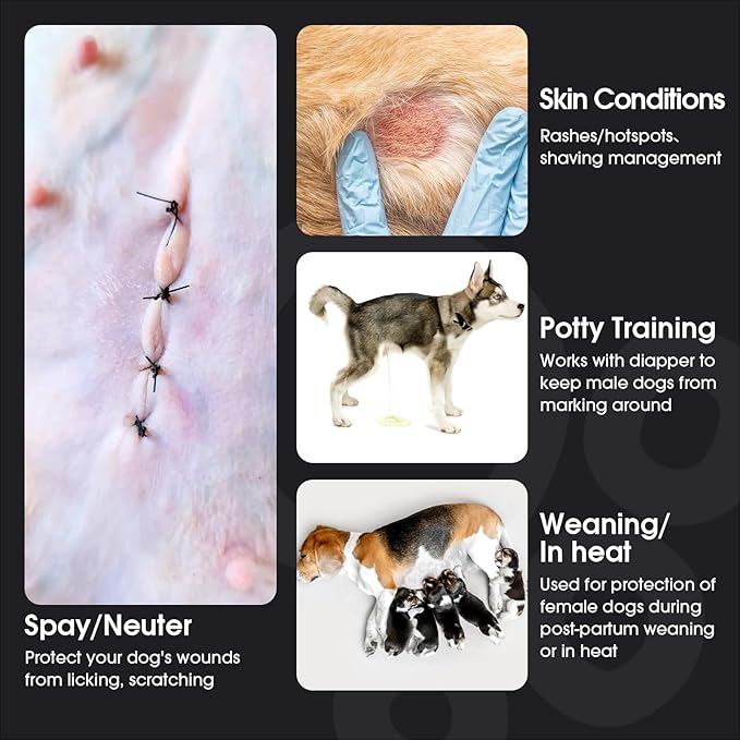 FUAMEY Dog Recovery Suit Male,Dogs Surgery Neuter Suits Puppy Spay Shirts for Female Protect Dog's Skin Anti Licking Abdominal Wounds Doggie Onesie Pet Bodysuit Alternative to Cone Green Stripes M