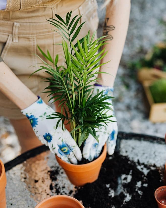 GARDENERA Palm Tree Potting Mix - The Ultimate Soil for Strong and Healthy Palms - Top Choice for Palm Tree Growers [3 Quart Bag]