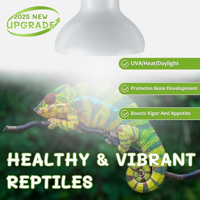 Reptile Heat Lamp Bulbs, Simulate Natural Sunlight Heat Light Bulb, 2 Pack 100W Amphibian Terrarium Basking Spot Lamp for Reptile, Bearded Dragon, Lizard, Turtle, Snake