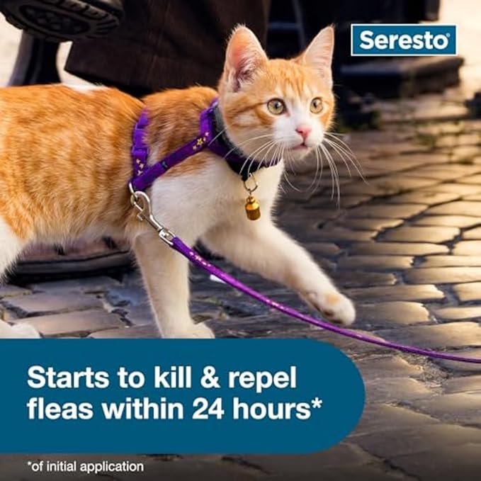 Seresto Cat Vet-Recommended Flea & Tick Treatment & Prevention Collar for Cats, 8 Months Protection | (Pack of 2)