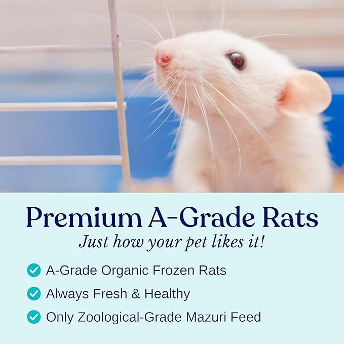 MiceDirect Frozen Pinkie Rat Food for Corn, Rat, King Snakes & Other repitles. (50 Count)