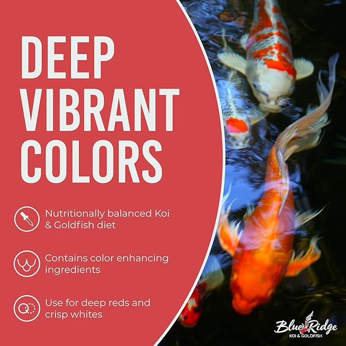 Blue Ridge Koi Fish Food 50lb - Koi Food Large 3/16" Growth Formula, Goldfish Food, Premium Fish Food for Ponds, Ponds Fish Food, Floating Pond Pellets