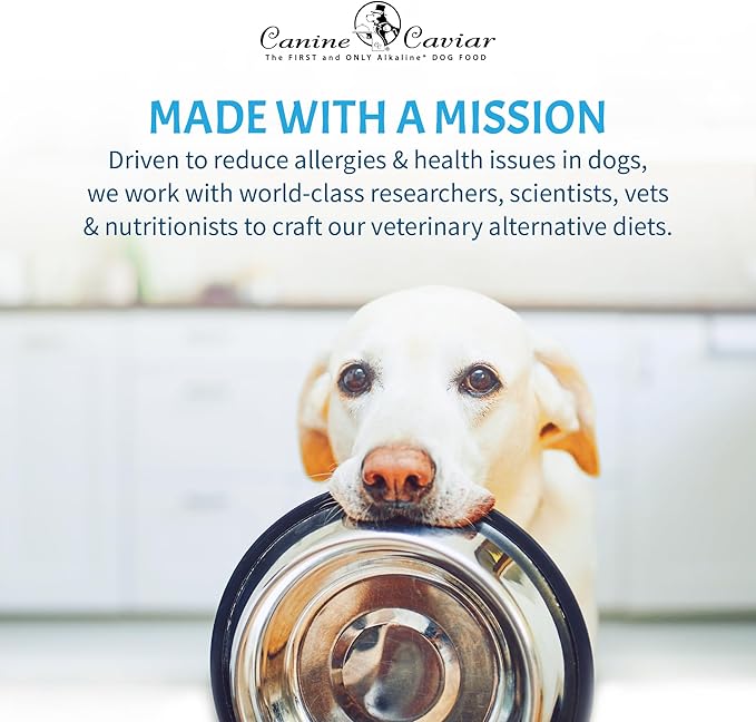 Canine Caviar - Open Meadow: Lamb & Pearl Millet Alkaline Dry Dog Food, Limited Ingredients, Gluten-Free, Based on Science & Research, Veterinary Alternative Diet (4.4 Pound Bag)