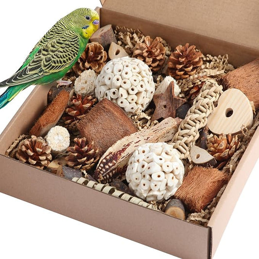 Kyouki Bird Toys Parrot Natural Bird Foraging Box Foot Toys for Parakeets,Cockatiels,Conures,Love Birds,and Other Small to Medium Birds (Large)