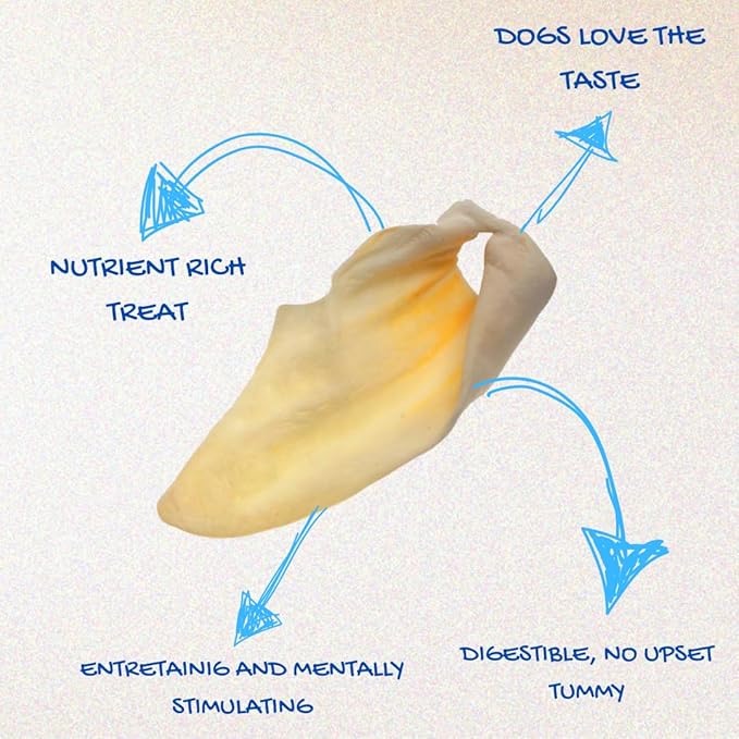 Brazilian Pet 100% Natural - Over 5 inches- Real Cow Ears Prime Dog Chews, Free Range Grass Fed Cattle (100 Count)