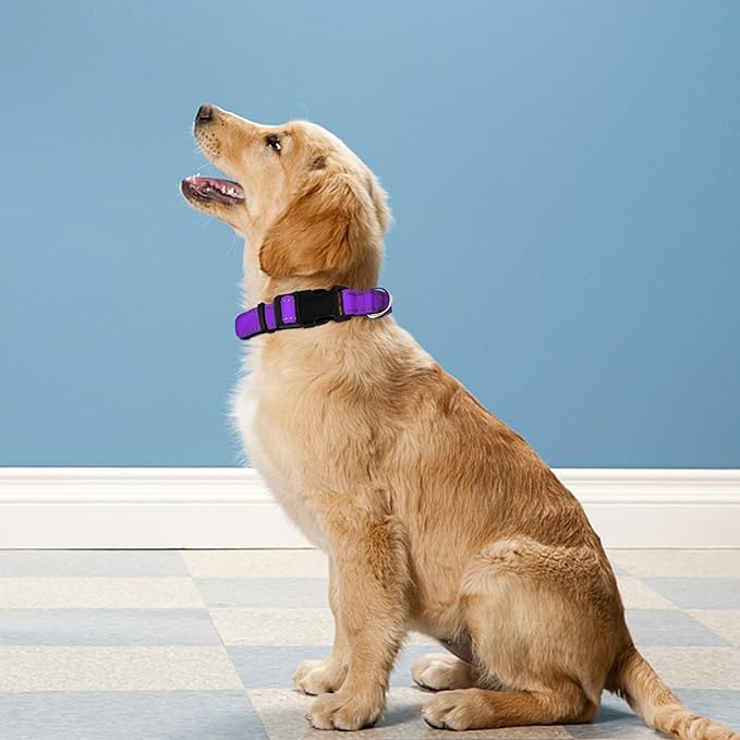 Reflective Dog Collar, Adjustable Soft Neoprene Padded Nylon Pet Collars with Buckle for Medium Dogs, Purple,M