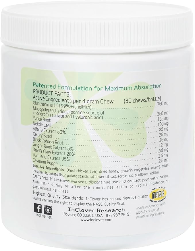 Hip and Joint Supplement for Large Dogs 70 Pounds and Up with Glucosamine Chondroitin, and Hyaluronic Acid – Formulated for Large Breeds – Clinically Proven Hip and Joint Support